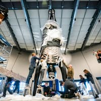 NEMO Science Museum Fast-Track Tickets — gallery 5