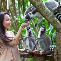 Bali Zoo Combo: Entry Ticket, Breakfast with Orangutans & Elephant Mud Fun — gallery 3