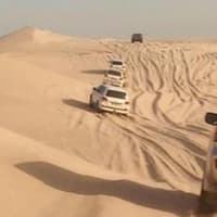 Doha: Half-Day Desert Safari Tour + Roundtrip Transfer — gallery 3