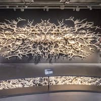 ArtScience Museum Exhibition Tickets — gallery 2