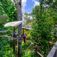 Bird Paradise Tickets | Mandai Wildlife Reserve — gallery 4