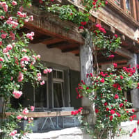 From Zurich: Day Trip to Heidiland & Liechtenstein — gallery 2