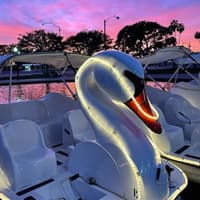 Long Beach: Swan Boat Rental at Rainbow Lagoon — gallery 3