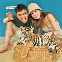 Tiger Park Tickets with Tiger Interactions — gallery 5