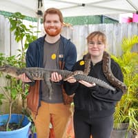 Miami: Everglades Holiday Park Animal Encounter Experience Tickets — gallery 4