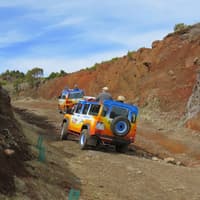 Enchanted Terraces: Guided Madeira Excursion — gallery 2