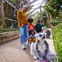 London: Family Pass — gallery 3
