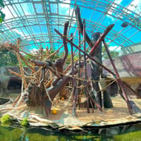 Prague Zoo Tickets — gallery 2
