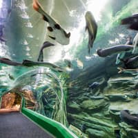 Combo (Save 26%): Lotte World + Seoul Sky Observatory Tickets — gallery 3