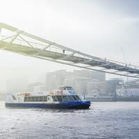 Thames Sightseeing Cruise with Flexible Time and Departure Pier — gallery 1