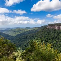 Natural Bridge & Springbrook Waterfalls Tour — gallery 1
