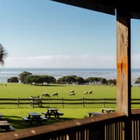 Phillip Island 3 Parks Pass: Penguin Parade, Koala Conservation Reserve & Churchill Island — gallery 4