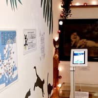 Cat Museum Budapest: Entry Ticket + Audio Guide — gallery 2