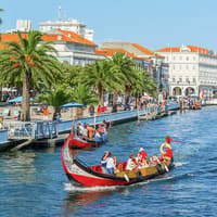 Aveiro Half-Day Guided Tour with Moliceiro Cruise — gallery 1