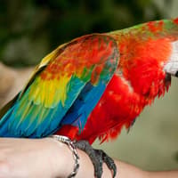 Kuala Lumpur Bird Park Tickets — gallery 2