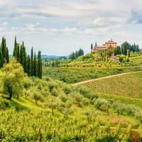 From Florence: Chianti Wine Tasting Tour — gallery 2