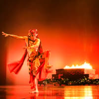Devdan Show Tickets for Foreign Travelers — gallery 3
