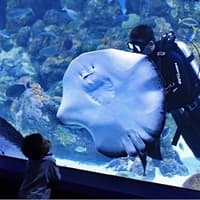Cairns Aquarium: Entry Ticket — gallery 2