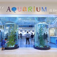 SEA LIFE COEX, Seoul Aquarium Tickets — gallery 2