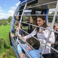 Arthurs Seat Eagle: Roundtrip Gondola Ticket + Drink — gallery 1