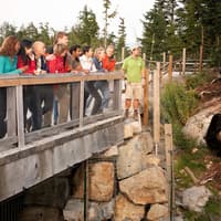 Grouse Mountain & Capilano Suspension Bridge Park: Guided Tour — gallery 3