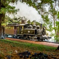 From Melbourne: Puffing Billy Train Ride & Phillip Island Guided Tour — gallery 1