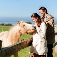 Phillip Island 3 Parks Pass: Penguin Parade, Koala Conservation Reserve & Churchill Island — gallery 1
