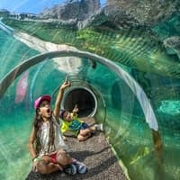 Billetter til Zoo Miami: Grupper på 4 og flere, Zoo Miami, Miami