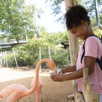 سان انتونیو چڑیا گھر کے لچکدار کسی بھی دن کے داخلہ ٹکٹ, San Antonio Zoo, San Antonio