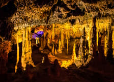 From Palma: Hams' Caves & Porto Cristo Half-Day Trip