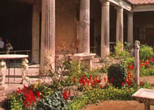 Pompeii: Day Trip From Naples