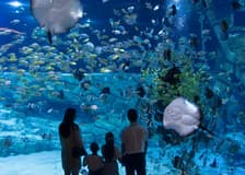 Lotte World Aquarium Hanoi: Entry Ticket