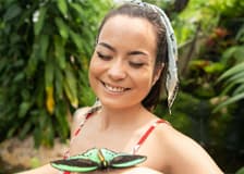 Australian Butterfly Sanctuary: Entry Ticket