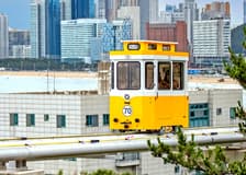 Busan 1-Day City Tour & Blue Line Park Sky Capsule