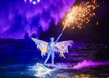 Symphony of the Sea Show With Dinner Options