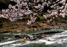 Hozugawa River Boat Ride