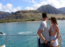 O'ahu: Dolphin Watching Cruise, Zipline, Snorkeling + Lunch & Drinks