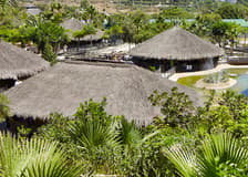Skip-the-Line Tickets to Crocodile Park