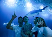 Oceanogràfic Tickets