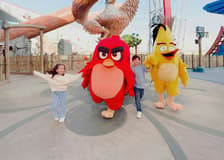 Angry Birds World Doha Theme Park Tickets