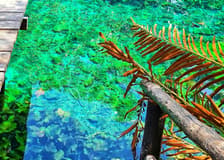 Maya Ruins of Tulum, Eco Park & Snorkeling: Guided Tour, Entry, Transfer + Lunch