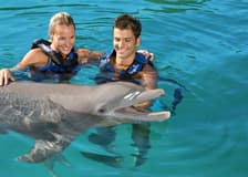 Delphinus Xel-Há: Fast Track Ticket + Hotel Pickup + Swim with Dolphins