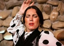 El Gallo Ronco Málaga: Flamenco Show