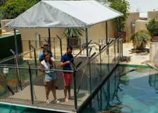 Big Croc Encounter VIP Tour