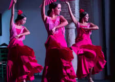 Cordoba: Flamenco Show with Welcome Drink