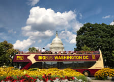 Big Bus: Washington DC Hop-on Hop-off Bus Tour with Optional Sunset Tour