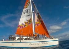 Turtle Snorkel Sail: Lunch Included