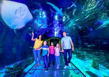 SEA LIFE Orlando Aquarium Admission Tickets
