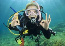 Hurghada: Guided Scuba Diving Experience + Roundtrip Transfer + Lunch