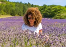 From Avignon: Lavender Fields Tour